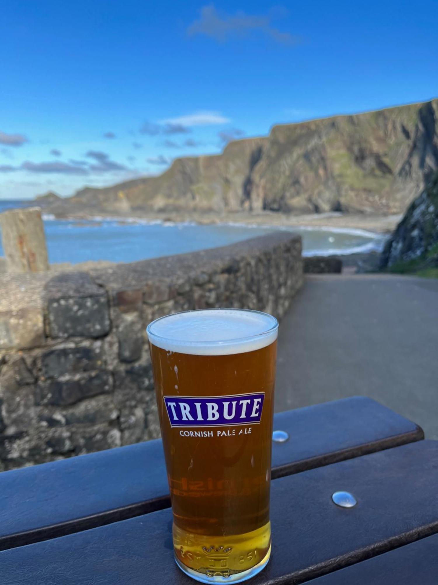 Hartland Quay Hotel Экстерьер фото