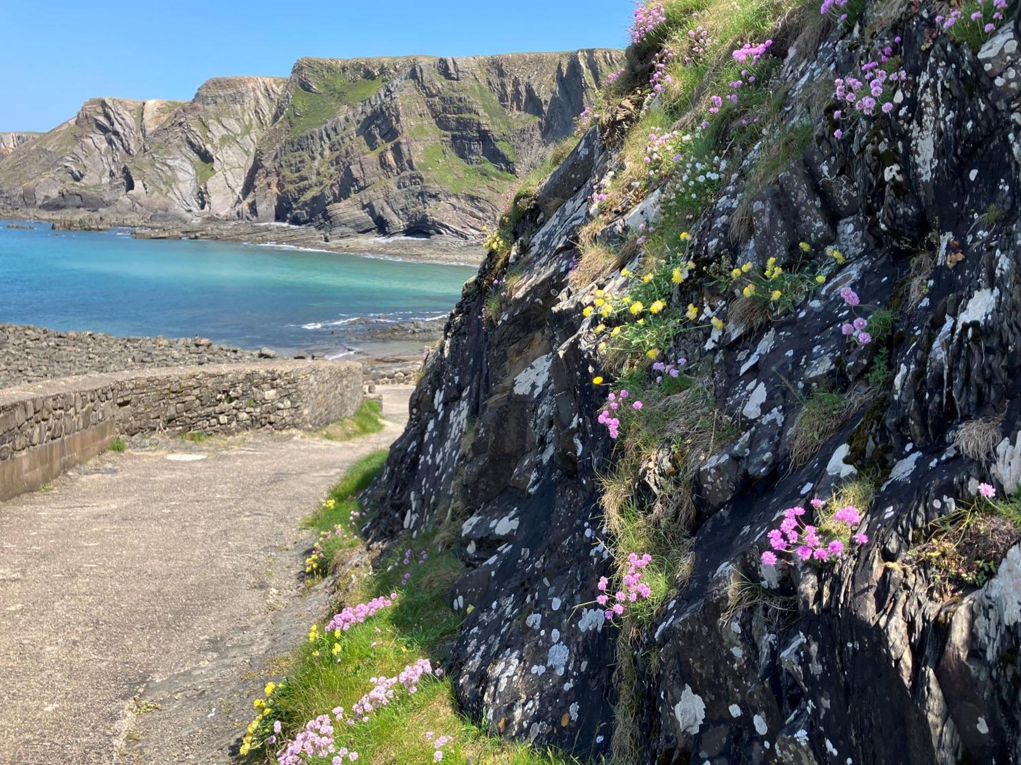 Hartland Quay Hotel Экстерьер фото
