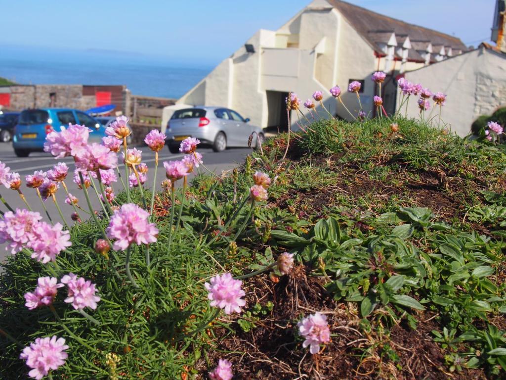 Hartland Quay Hotel Номер фото